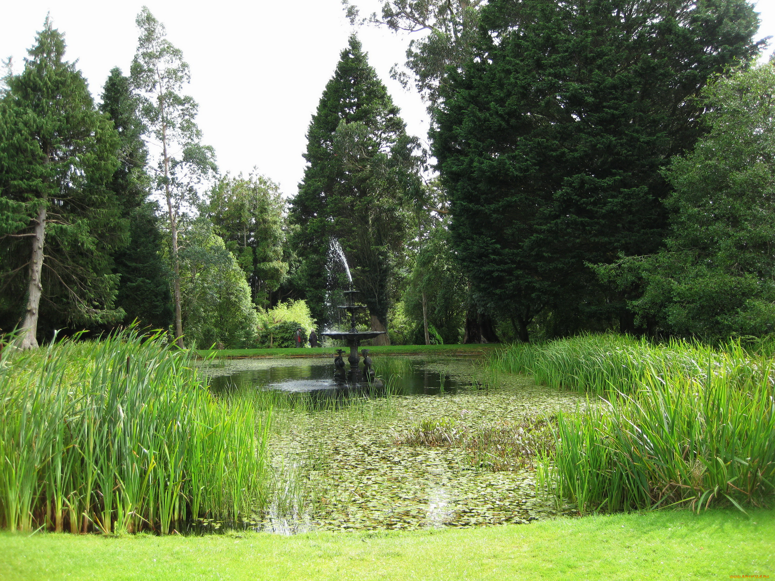 powerscourt, gardens, , , , , , , , 